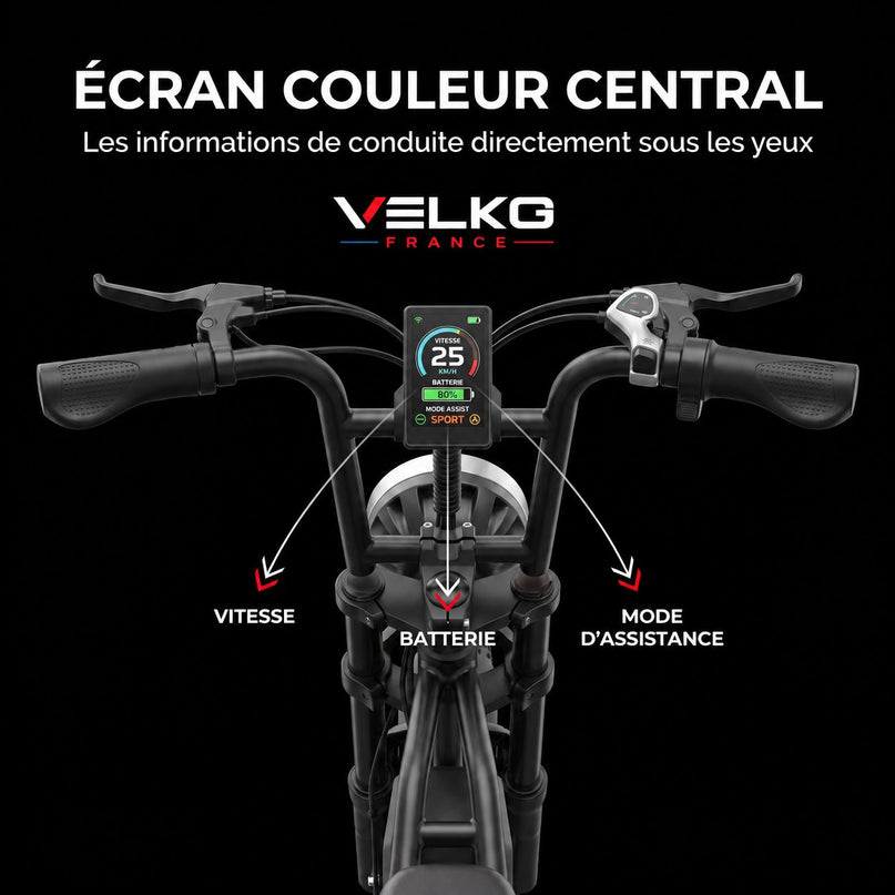 Vélo Électrique Fat Bike VELKO Drifter 16 – 250 W, Batterie Amovible 48 V 13 Ah, Pneus 16 × 3.0" & Suspensions